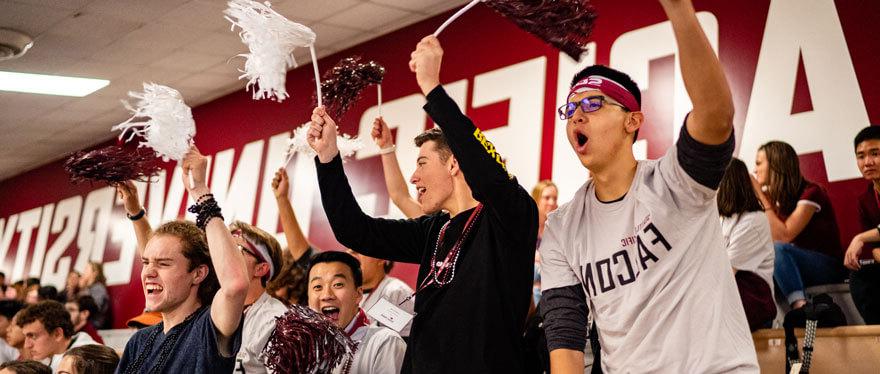 students cheer in the stands